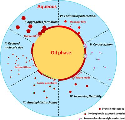 Thoroughly review the recent progresses in improving O/W interfacial properties of proteins through various strategies